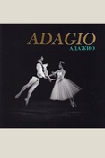 Василькин Н. А., Адажио